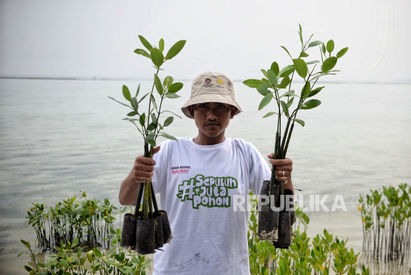 Pelajar menunjukan bibit pohon mangrove di pesisir pantai di Pulau Tidung Kecil, Kepulauan Seribu, Jakarta, Jumat (24/6/2022). Kepala Badan Restorasi Gambut dan Mangrove (BRGM) Hartono Prawiraatmadja berharap masyarakat semakin peduli memelihara ekosistem mangrove dalam peringatan Hari Mangrove Sedunia yang jatuh pada 26 Juli.