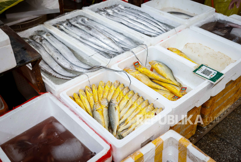 Berbagai ikan dipajang di pasar makanan laut. ilustrasi