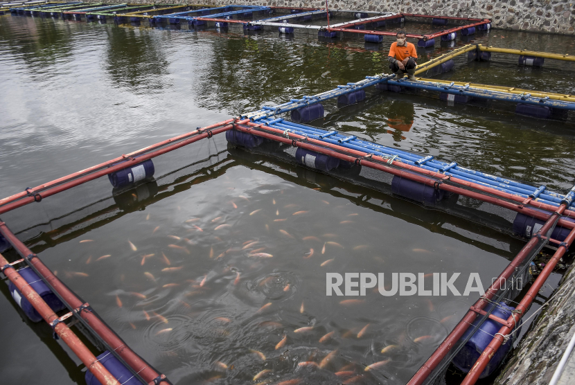 Keramba ikan (ilustrasi). Kantor Perwakilan Bank Indonesia (KPw BI) Provinsi Maluku memberikan bantuan satu unit keramba jaring apung kepada satu kelompok pembudidaya ikan di sana. 