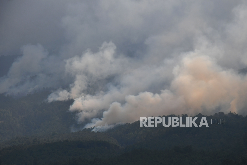 Asap mengepul akibat kebakaran hutan dan lahan (Karhutla).