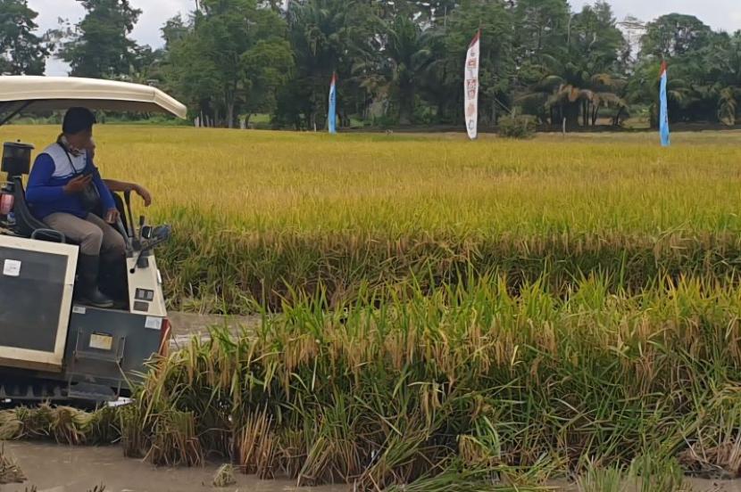 Korem Gapo tanam padi 2.000 hektare di lahan sawah rakyat Sumsel.