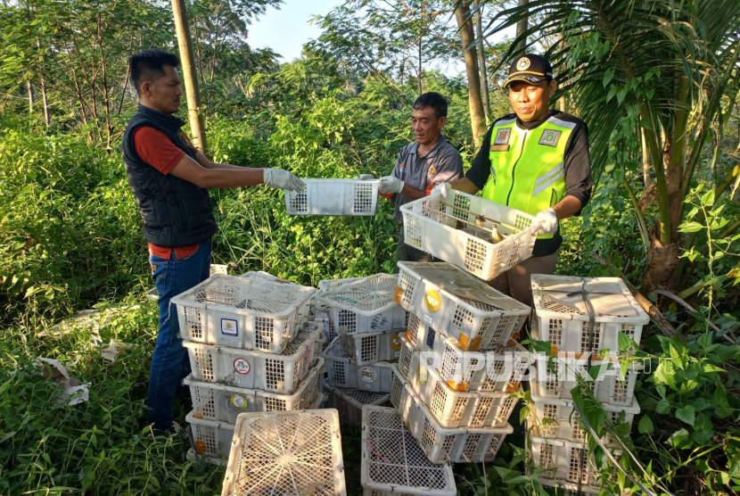 Ribuan burung ilegal hasil tangkapan Balai Karantina Pertanian (BKP) Lampung segera dilepasliarkan, Senin (24/7/2023).