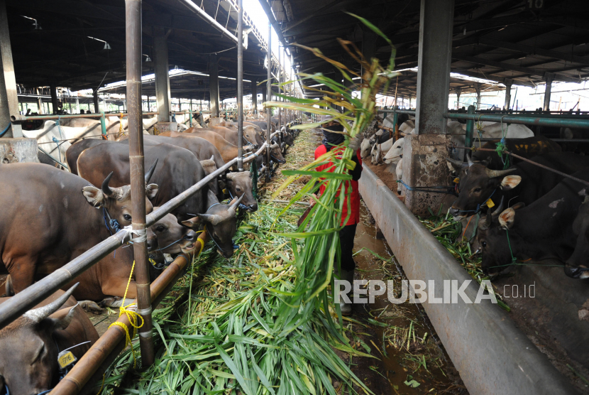 Rumah Pemotongan Hewan (RPH) Giwangan, Yogyakarta dan RPH Bantul tidak melayani pemotongan hewan qurban dari luar wilayahnya masing-masing. Hal ini disebabkan oleh keterbatasan kapasitas yang ada di RPH tersebut.