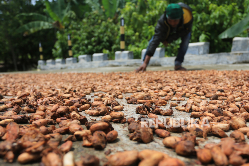Petani menjemur biji kakao, salah satu komoditas pertanian untuk diekspor (ilustrasi)