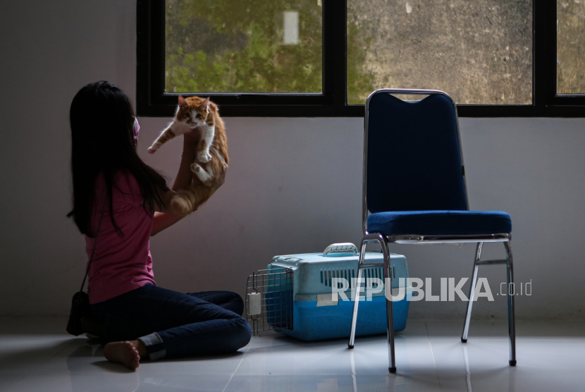 Seorang warga mengeluarkan kucing peliharaannya dari kandang saat akan diberi vaksin rabies di Klinik Hewan, Kota Tangerang, Banten, Rabu (3/3/2021). Pemerintah Kota Tangerang Dinas Ketahanan Pangan (DKP) memberikan layanan vaksinasi rabies gratis untuk mengantisipasi penyebaran penyakit rabies pada hewan peliharaan.
