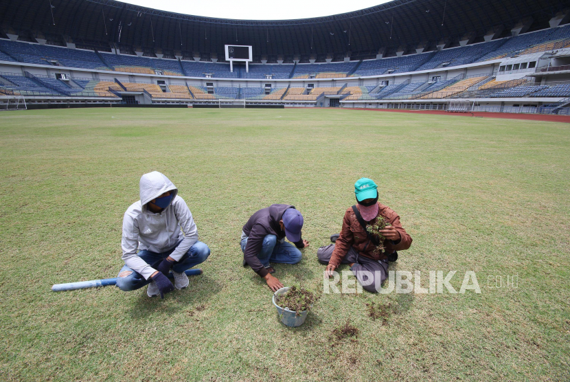 Petugas perawatan Stadion Gelora Bandung Lautan Api (GBLA), Kota Bandung, mencabuti rumput liar, Rabu (14/10). Meski di masa pandemi tidak ada pertandingan dan kegiatan yang menghadirkan kerumunan massa, namun perawatan stadion dan termasuk penerapan protokol kesehatan tetap diperhatikan.