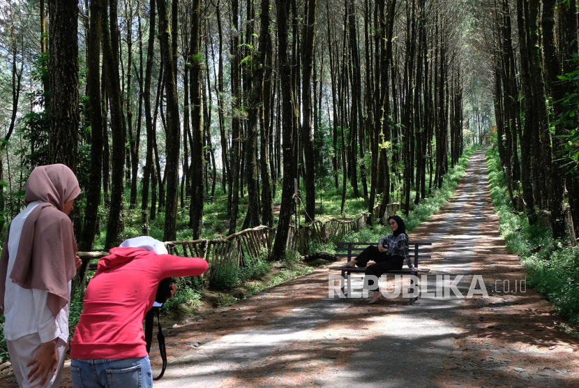 Pengunjung foto di lokasi wisata Top Selfie Hutan Pinus Kragilan, Pakis, Magelang, Jawa Tengah, Kamis (4/2/2021). Tempat wisata di kawasan Taman Nasional Gunung Merbabu yang dikelola oleh Perhutani bersama warga sekitar tersebut sepi pengunjung sejak pandemi COVID-19. 