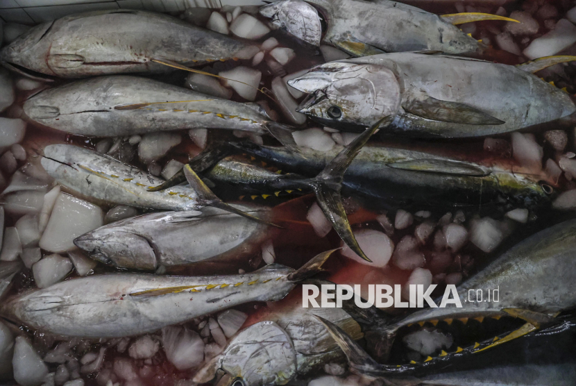 Trenggono: Kesehatan Laut Jadi Kunci Keberlanjutan Hidup Manusia