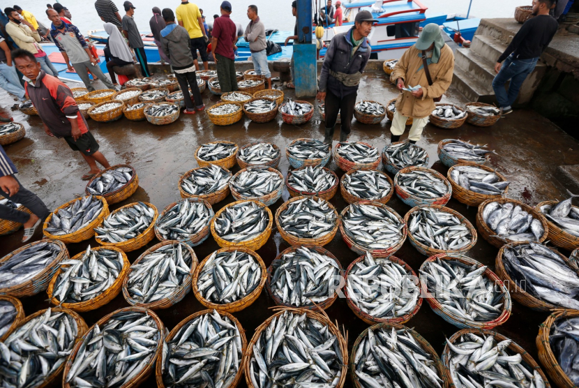 Ikan hasil tangkapan nelayan. Kementerian Kelautan dan Perikanan (KKP) mengatakan UU Cipta Kerja mempermudah nelayan untuk melaut.