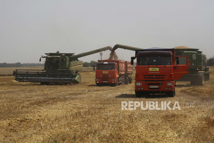 Petani memanen dengan kombinasi mereka di ladang gandum dekat desa Tbilisskaya, Rusia. Invasi Rusia membuat harga pangan di Bangladesh naik.