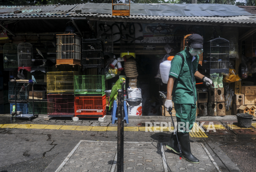  Dinas Ketahanan Pangan dan Pertanian (DKPP) Kota Surabaya melakukan antisipasi pencegahan dan penyebaran virus Avian Influenza (AI) atau flu burung.   Petugas menyemprotkan cairan disinfektan untuk mencegah virus flu burung di Pasar Barito, Jakarta, Senin (28/3/2022). (Ilustrasi)