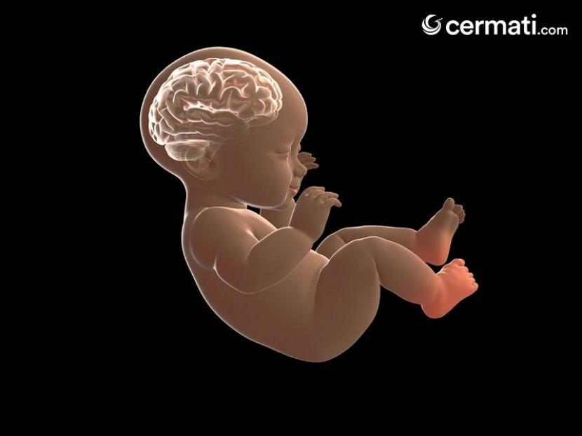 Ingin Otak Bayi Berkembang Lebih Cepat? Ini Rahasianya