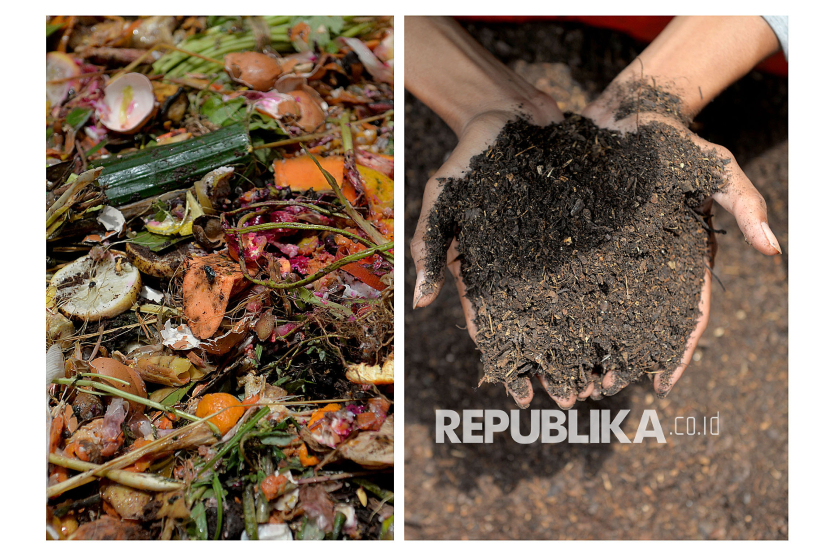 Ubah Sampah Makanan Jadi Kompos, Tren Ramah Lingkungan di Perkotaan