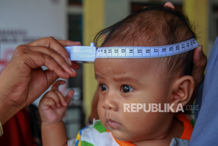 Petugas kesehatan mengukur lingkar kepala balita saat pelayanan Posyandu di Kantor kelurahan Maliaro, Kota Ternate, Maluku Utara, Senin (18/3/2024) (ilustrasi).