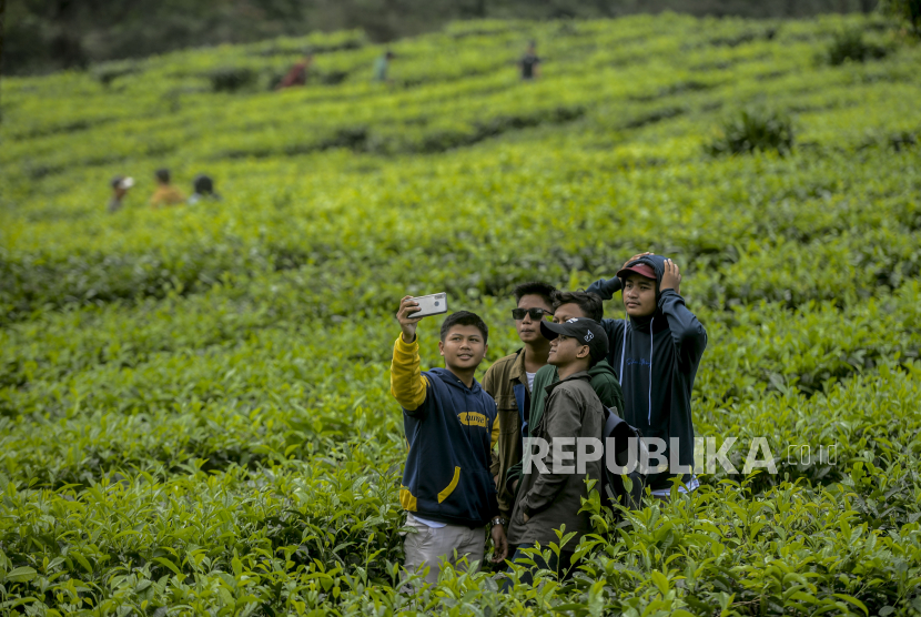 Sejumlah warga berwisata di kawasan kebun teh Puncak, Bogor, Jawa Barat.