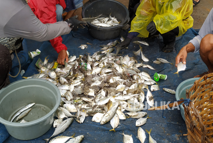 Nelayan memilah ikan hasil menjaring di Pantai Timur Pangandaran, Ahad (25/10). Meski cuaca sedang kurang baik, namun banyak nelayan tetap melaut. Mereka menabar jaring ke tengah laut untuk mendapatkan jenis ikan yang sedang musim seperti ikan bawal, tongkol, dan layur.