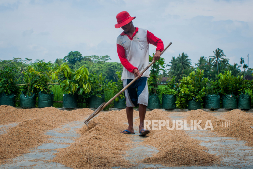 Pemerintah menugaskan Perum Bulog untuk melakukan impor beras sebanyak 1 juta ton pada tahun ini. Kebijakan itu diprotes petani di daerah lumbung padi, Kabupaten Indramayu dan Cirebon.