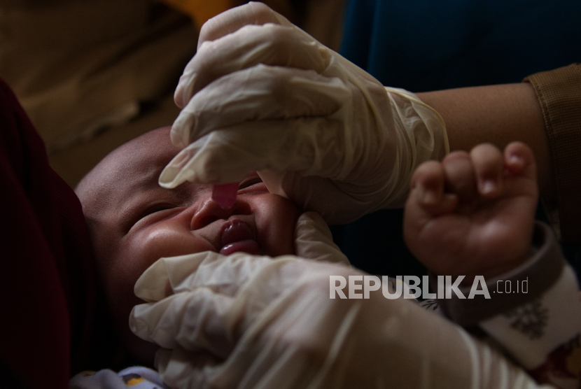 Petugas medis Dinas Kesehatan Kendari meneteskan vaksin Polio pada balita di Pos Pelayanan Keluarga Berencana di Kecamatan Baruga, Kendari, Sulawesi Tenggara, Selasa (12/12/2023). Kementerian Kesehatan menetapkan vaksin pneumococcus konyugasi (PCV) ke dalam program imunisasi rutin untuk melindungi dan mencegah kematian pada anak-anak akibat pneumonia, yaitu peradangan paru paru yang disebabkan oleh infeksi.