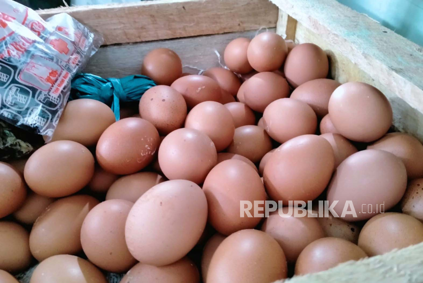 Harga sejumlah komoditas terutama telur, beras dan gula mengalami peningkatan di Pasar Oro-Oro Dowo, Kota Malang. 