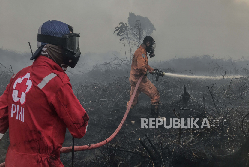 Petugas pemadam kebakaran dan relawan PMI melakukan proses pendinginan lahan gambut yang terbakar.