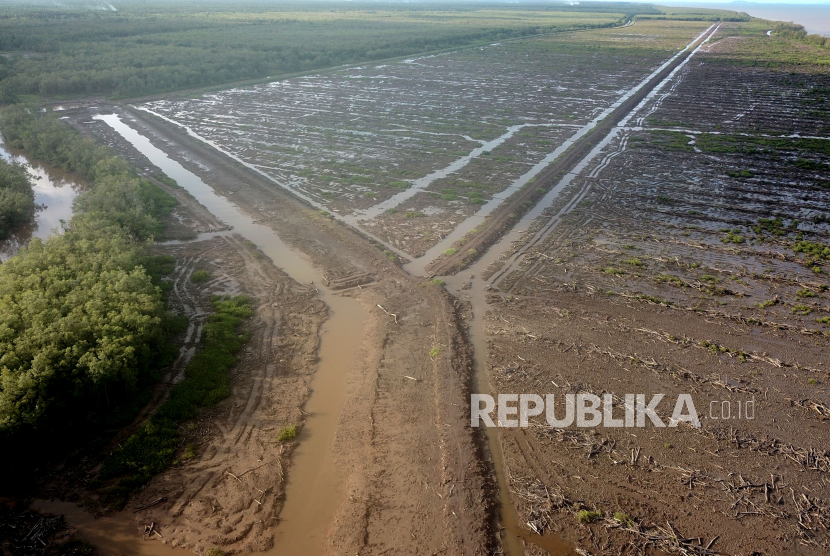 Kerusakan mangrove (ilustrasi). Komisi IV DPR melakukan inspeksi mendadak di Kepulauan Riau (Kepri). Dalam sidak tersebut ditemukan produk arang ilegal yang bahan bakunya diambil dari mangrove.