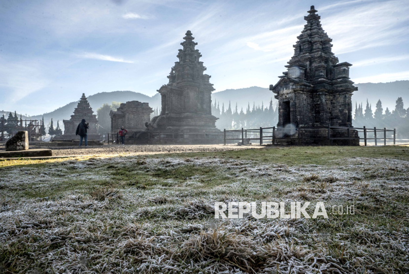 Embun Upas Rusak 30 Hektare Tanaman Kentang di Dieng, Petani Rugi Miliaran Rupiah
