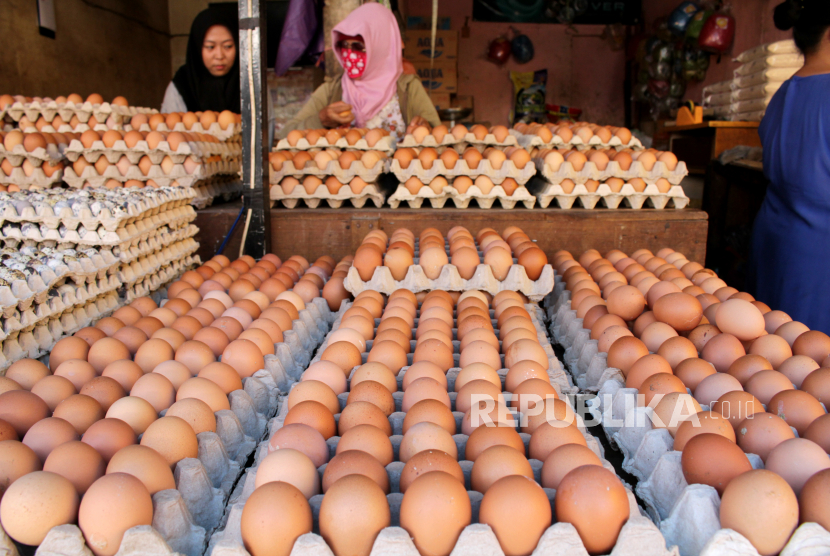 Penjual telur melayani pembeli 