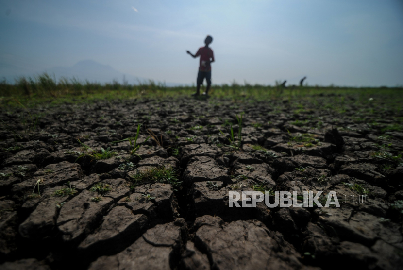 Seorang anak bermain di lahan sawah yang mengalami kekeringan di Cibiru Hilir, Kabupaten Bandung, Jawa Barat, Kamis (6/8/2020). BMKG Ingatkan Dampak Perubahan Iklim Terhadap Indonesia