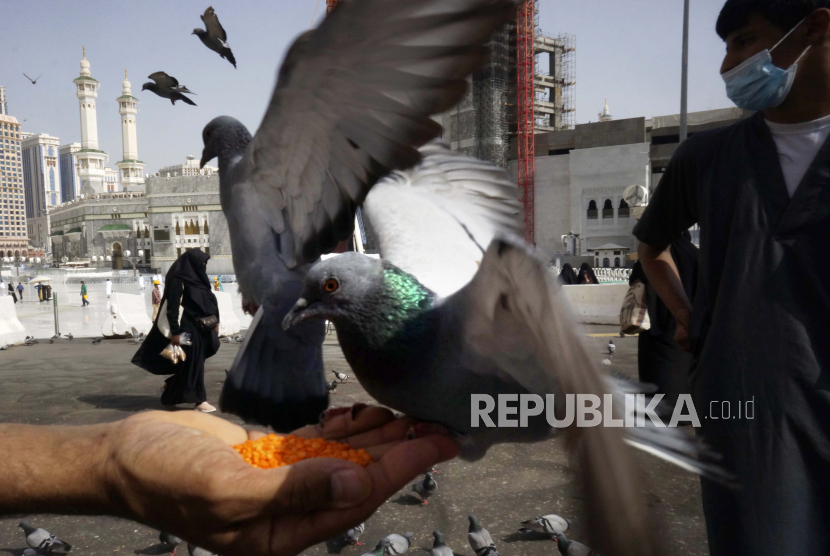 Seorang jamaah Muslim memberi makan merpati di luar Masjidil Haram selama ziarah kecil, yang dikenal sebagai Umrah, di kota suci Muslim Makkah, Arab Saudi, Minggu, 30 Mei 2021.