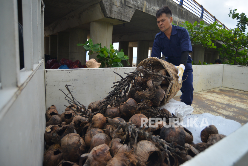 Pekerja memindahkan sampah batok kelapa ke dalam mobil pengangkut di Pantai Purus, Padang, Sumatera Barat, Jumat (25/8/2023). Kelapa jadi komoditas unggulan ekspor.