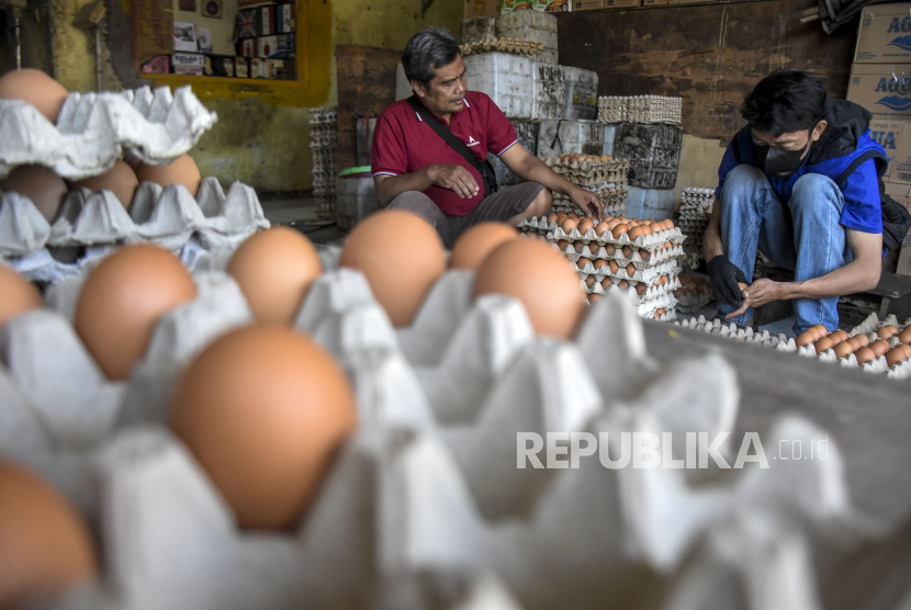 Pekerja menyortir telur ayam di salah satu sentra penjualan telur ayam di Jalan Ibrahim Adjie, Batununggal, Kota Bandung, Jawa Barat, Kamis (25/5/2023). Berdasarkan keterangan pedagang, harga telur ayam mengalami kenaikan menjadi Rp32 ribu dari yang semula Rp27 ribu. Kenaikan harga tersebut salah satunya disebabkan oleh harga pakan ayam yang meningkat.
