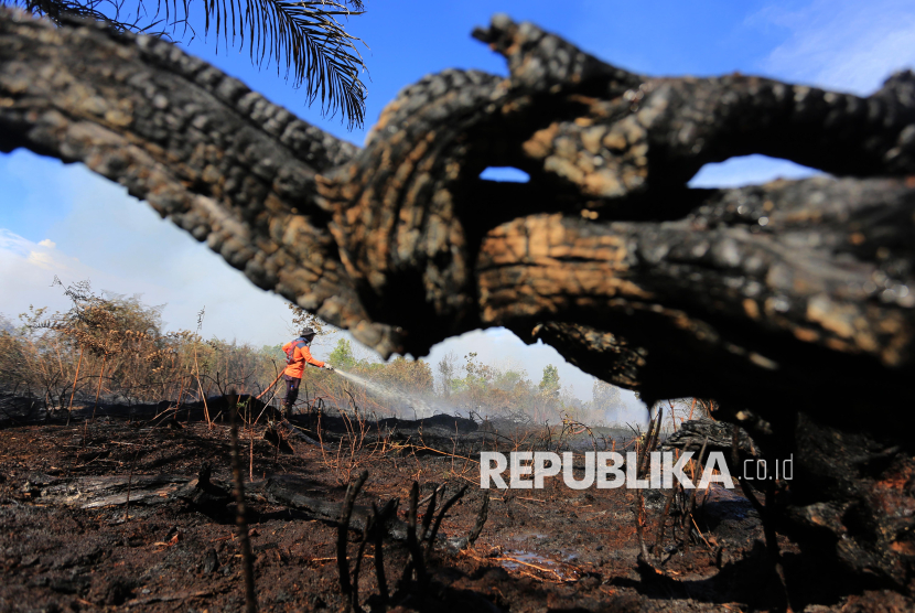 Enam Hektar Lahan di Aceh Barat Terbakar