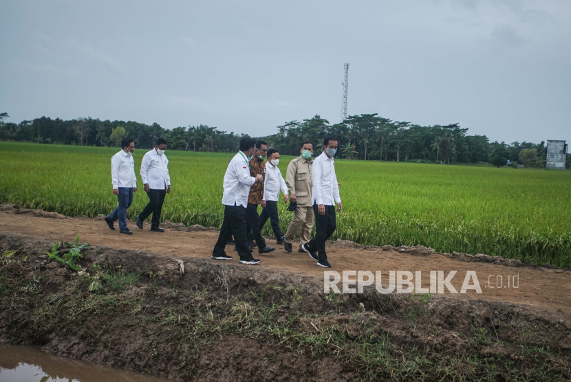 Presiden Joko Widodo (kanan) didampingi Menteri Pertahanan Prabowo Subianto (kedua kanan), Kepala Staf Kepresidenan Moeldoko (tengah,  Menteri Pertanian Syahrul Yasin Limpo (kiri) dan Gubernur Kalimantan Tengah Sugianto Sabran (ketiga kanan) meninjau kesiapan lahan pertanian yang akan dijadikan pengembangan 