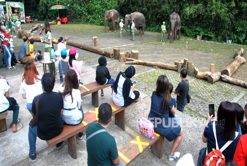 Sejumlah pengunjung menyaksikan edukasi satwa gajah Sumatera di Taman Safari Indonesia (TSI), Cisarua, Kabupaten Bogor, Jawa Barat, Minggu (16/8/2020). Ibu Kota Jakarta akan kembali menerapkan Pembatasan Sosial Berskala Besar (PSBB) mulai Senin, pekan depan.