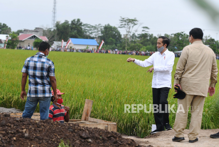 Presiden Joko Widodo (kedua kanan) didampingi Menteri Pertahanan Prabowo Subianto (kanan) meninjau lahan yang akan dijadikan Food Estate atau lumbung pangan baru di Pulang Pisau, Kalimantan Tengah, Kamis (9/7/2020). Pemerintah menyiapkan lumbung pangan nasional untuk mengantisipasi krisis pangan dunia.
