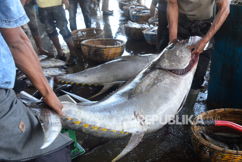 Permintaan produk ikan asal Aceh untuk Jepang cukup besar (Foto: ilustrasi ikan)