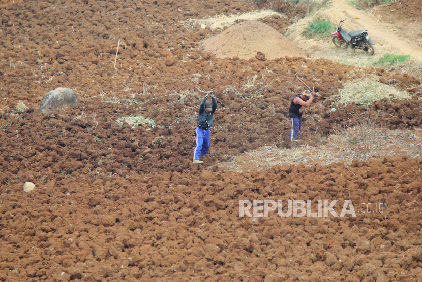 Ladang di perbukitan kawasan Cimenyan, di Kabupaten Bandung, tampak merah akibat kemarau, Selasa (10/10/2023). Meski demikian umumnya lahan sudah dicangkul, menandakan para petani sudah siap menyambut musim tanam sayuran.