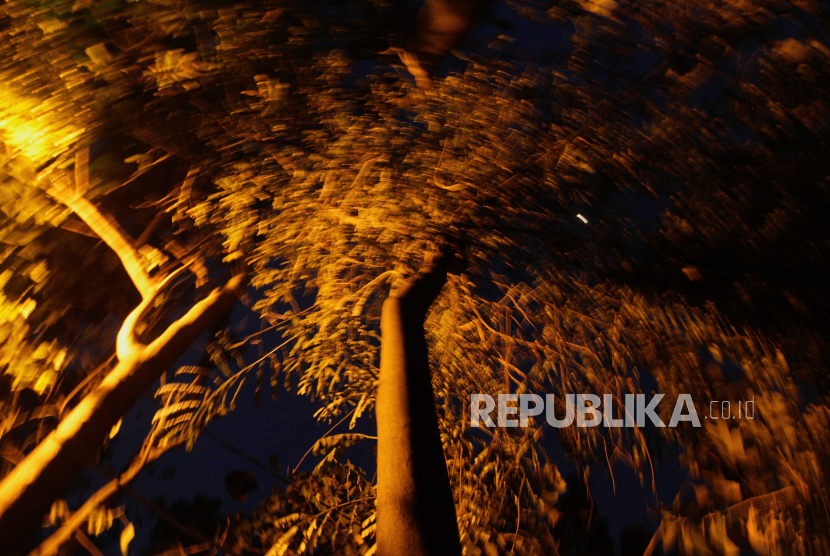 Pendar cahaya lampu menerangi pepohonan di Hutan Kota Cawang, Makasar, Jakarta Timur, Jumat (28/7/2023). Hutan Kota Cawang dijaga 24 jam oleh SKPD setempat dan diberikan lampu penerangan karena sempat diduga sebagai tempat berkumpulnya lesbian, gay, biseksual dan transgender (LGBT).q