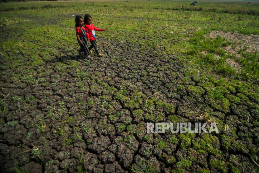 Dua orang anak bermain di lahan sawah yang mengalami kekeringan. Indonesia diprediksi akan mengalami kekeringan saat musim kemarau ini/ilustrasi.