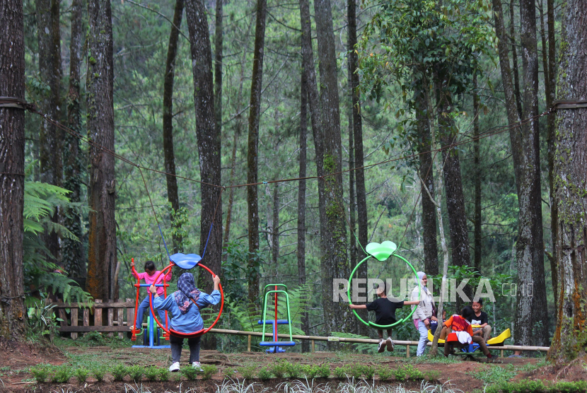 Sejumlah pengunjung bermain di kawasan hutan pinus, Cikole, Kecamatan Lembang, Kabupaten Bandung Barat, Selasa (1/1/2024). Kawasan hutan pinus Cikole yang telah dilengkapi berbagai fasilitas oleh sejumlah pengelola, menjadi daya tarik tersendiri bagi para pengunjung. Saat musim liburan seperti sekarang ini kawasan tersebut ramai pengunjung.