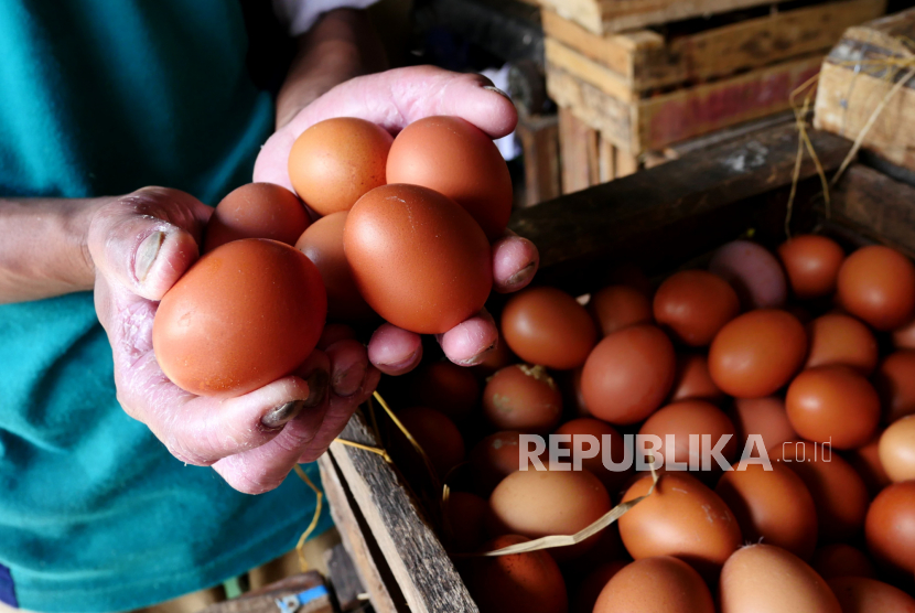 Pedagang menata telur ayam negeri. Jelang tahun baru harga telur di sejumlah wilayah Indonesia mengalami kenaikan.