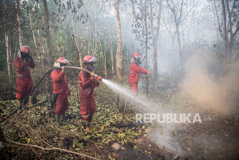 Petugas melakukan pemadaman kebakaran lahan (ilustrasi)