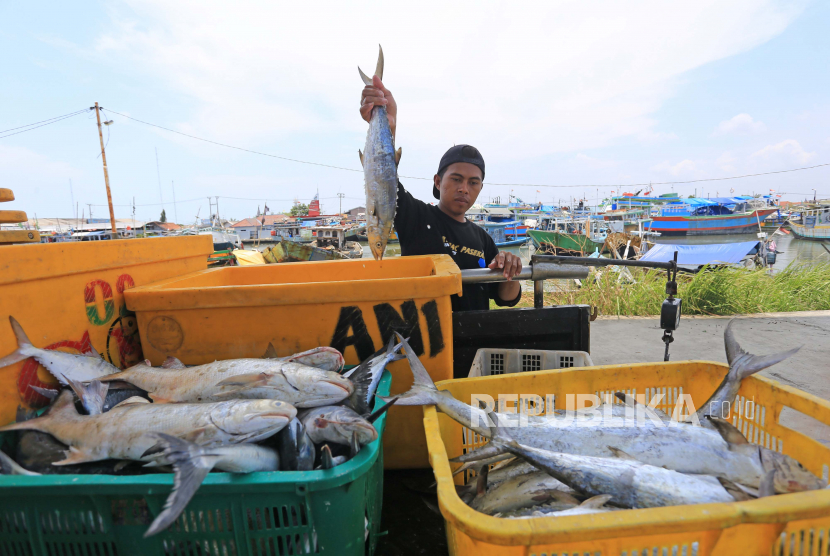 Nelayan memilah ikan hasil tangkapan di pelabuhan perikanan Karangsong, Indramayu, Jawa Barat, Senin (27/9).