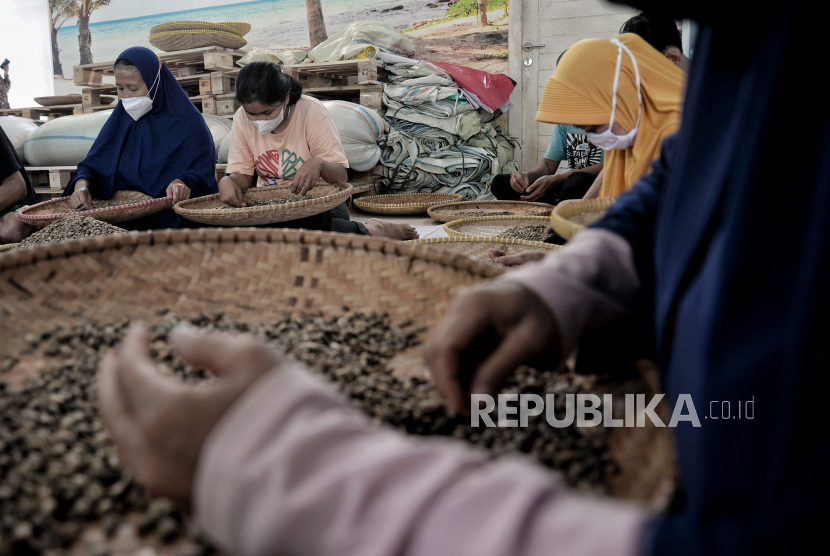 Pekerja menyortir biji kopi sebelum Pelepasan Ekspor Perdana Produk Halal Kopi Robusta ke Oman di Kopi Merah Putih, Jakarta, Jumat (21/1/2022). 