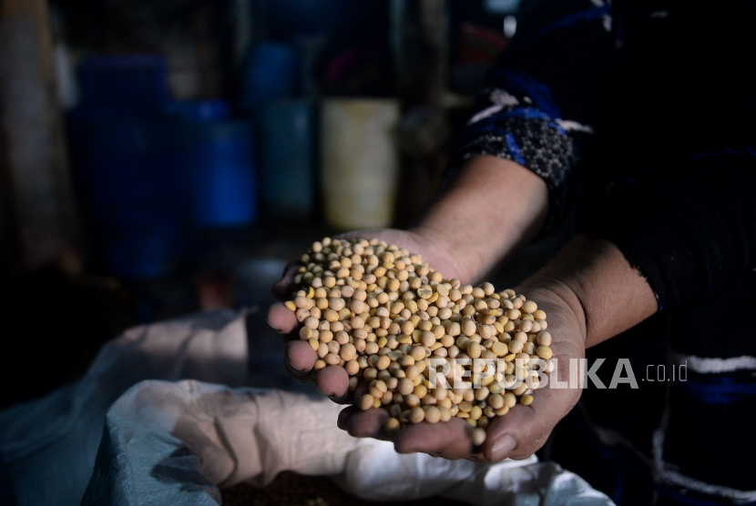 Pengrajin menunjukkan kedelai impor yang harganya melambung di sentra industri tempe Sunter Jaya, Jakarta, Senin (21/2/2022). Ratusan pengrajin tempe setempat mengikuti aksi mogok produksi serentak selama 3 hari sebagai respon meningkatnya harga kedelai.Prayogi/Republika.