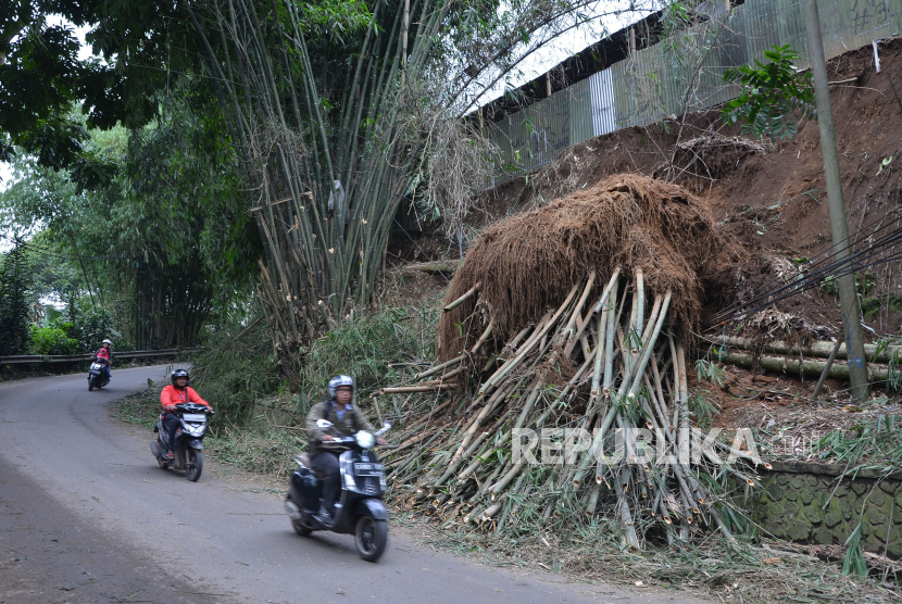 Pohon bambu tumbang bersama akarnya disertai longsor (Foto: ilustrasi)