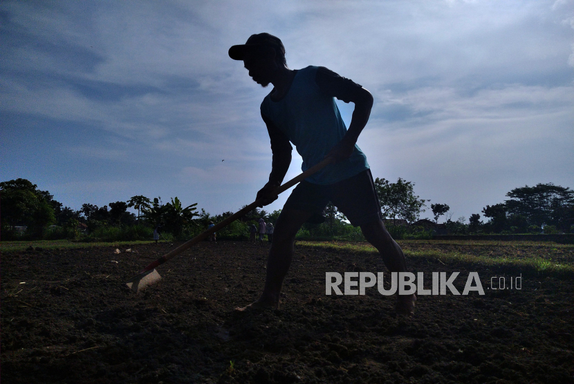 Petani menggarap lahan pertanian Ganjuran, Bantul, Yogyakarta, Senin (13/7/2020). Bantul akan mengembangkan tanaman kedelai di lahan pasir. 