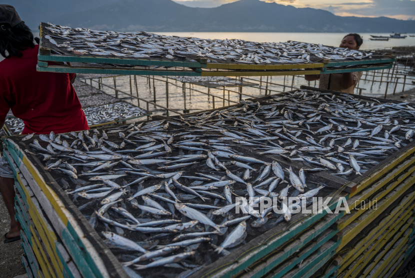 Pekerja mengumpulkan ikan-ikan (ilustrasi). Pemkot Pekalongan, Jawa Tengah, mengkampanyekan gemar makan ikan.