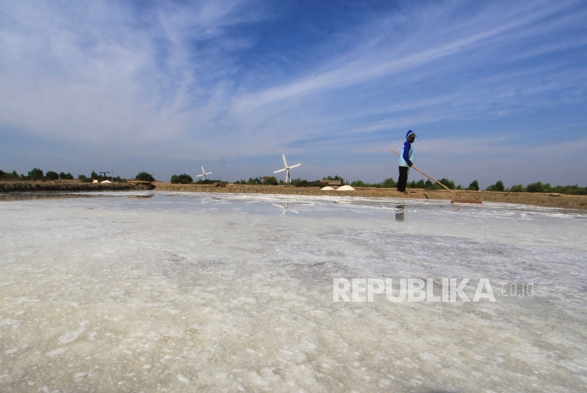 Petambak memanen garam di Losarang, Indramayu, Jawa Barat, Sabtu (26/9). Petambak di daerah tersebut mengeluhkan jumlah produksi garam tahun ini menurun akibat musim kemarau yang basah. 