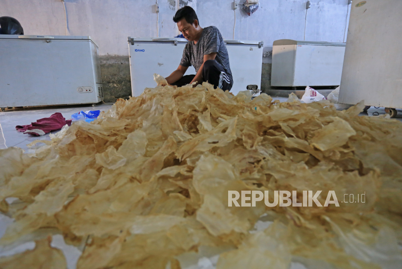 Pekerja menyelesaikan pembuatan keripik ikan di Rumah Produksi dan Galeri UMKM desa Karangsong, Indramayu, Jawa Barat, Selasa (12/10/2021). 